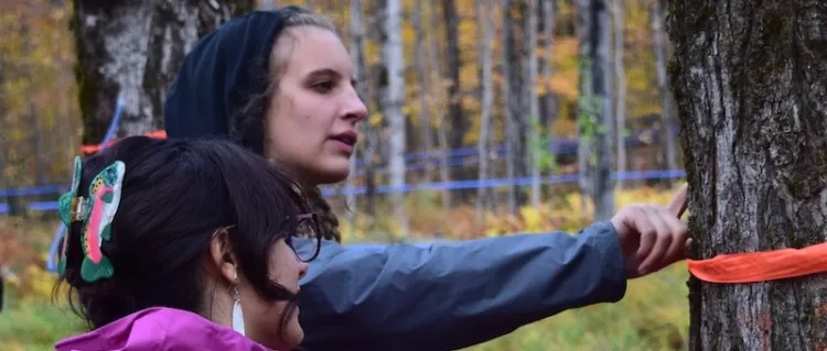 two women examine a maple tree marked with orange flagging