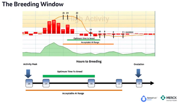 Sensehub tracking 