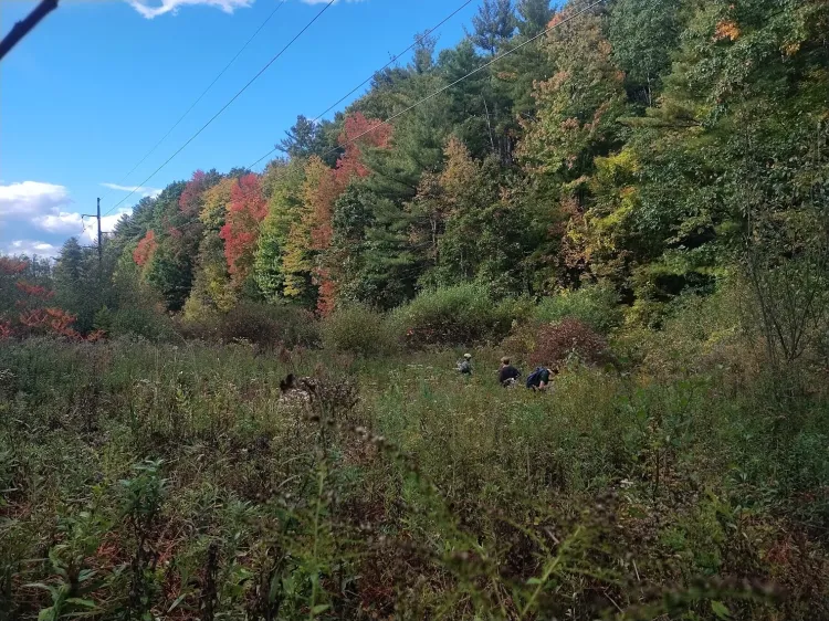 Students in a clearing in Centennial