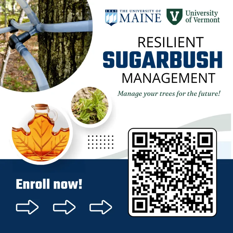 A blue and white graphic with the title "resilient sugarbush management" and logos for the University of Maine and the University of Vermont. The words "enroll now" are above arrows pointing to a QR code box.