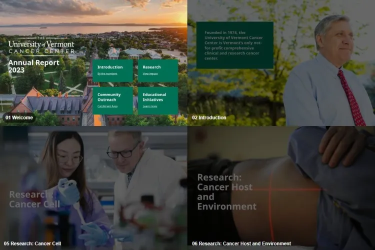 A grid featuring four sections of the annual report: welcome, introduction, research: cancer cell, and research: cancer host and environment
