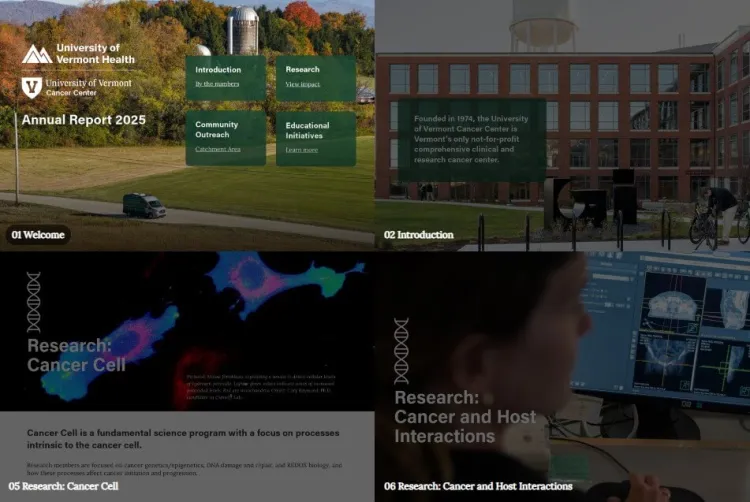 A grid featuring four sections of the annual report: welcome, introduction, research: cancer cell, and research: cancer and host interactions