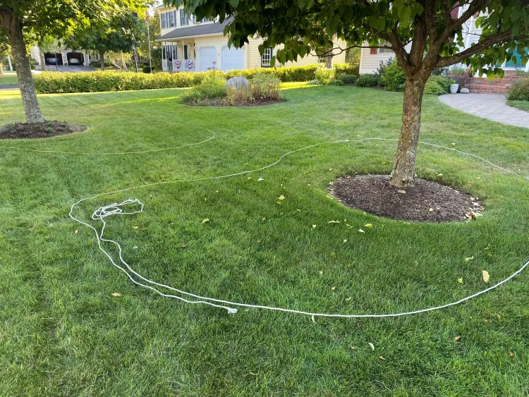 A small circle of soil around a tree base on a grassy lawn.