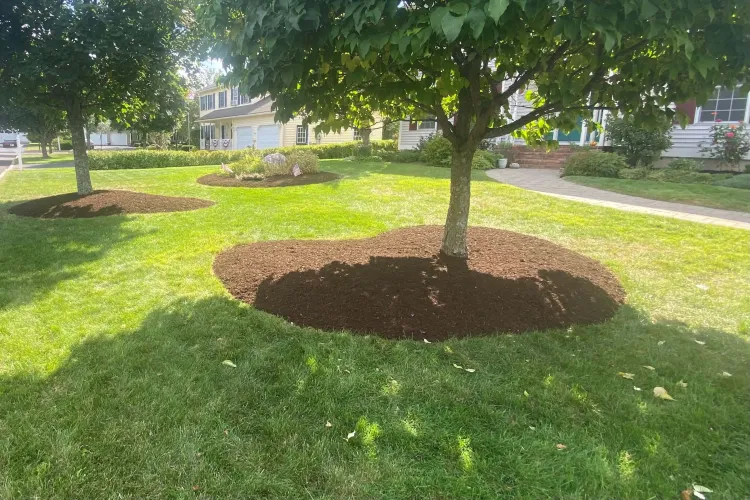 In the second photo, there's a large area around a tree filled with mulch on a grassy lawn.