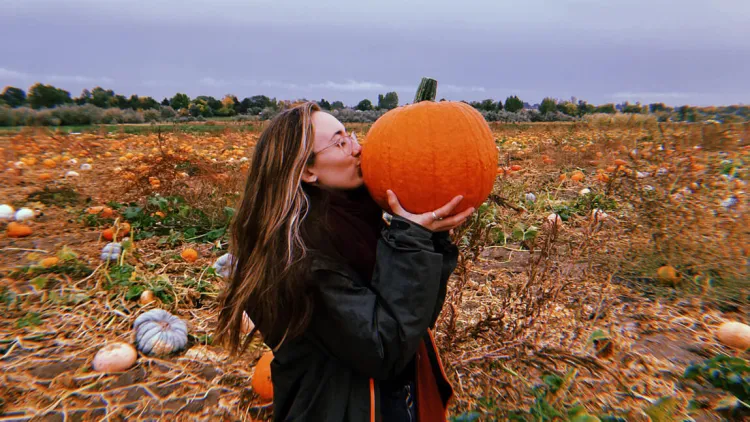 Person in a pumpkin patch holding and kissing a large pumpkin.