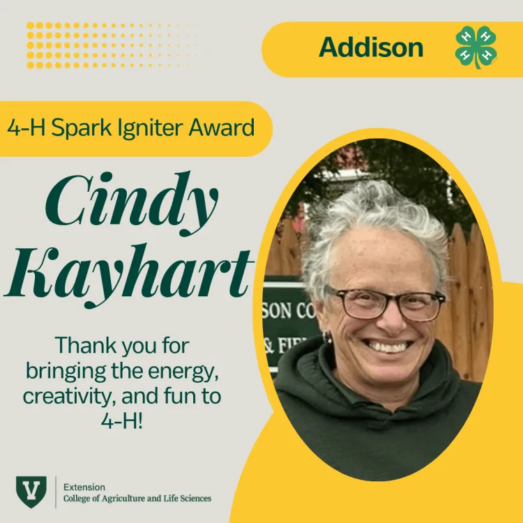 A grey and yellow graphic with green text that says 4-H spark igniter award and the name cindy kayhart and the words thank you for bringing the energy, creativity and fun to 4-H!