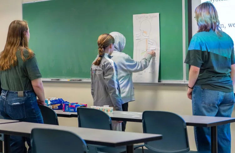 Two young adults watch two children place labels on an outline of a human body titled "the digestive system"