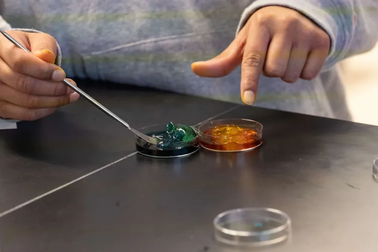  Two hands point at two petri dishes with green and orange substances inside