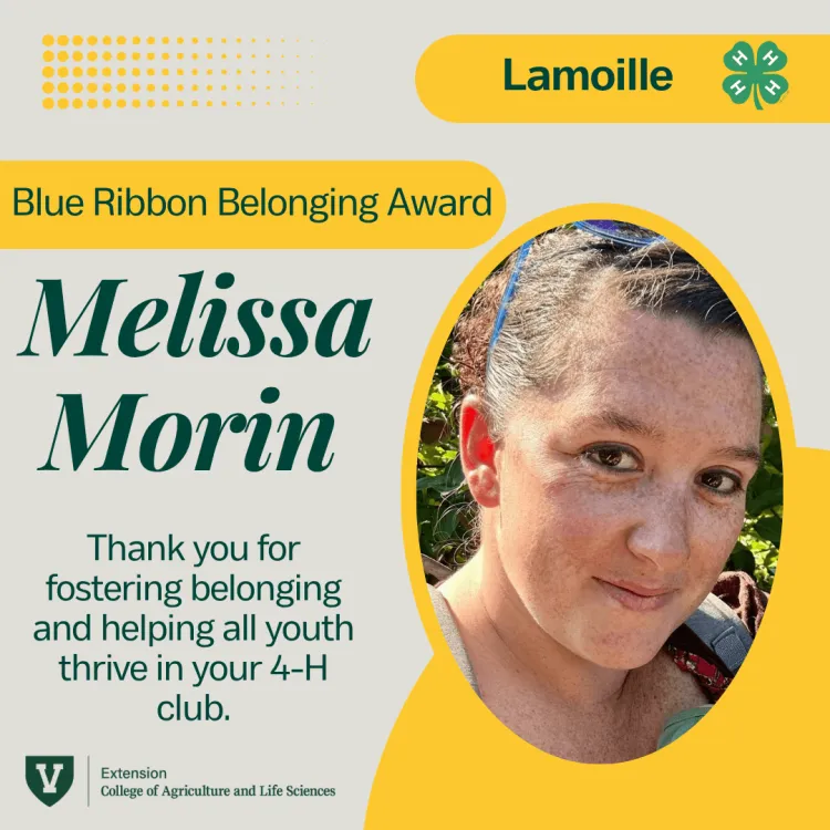 A yellow and grey graphic with green text reading blue ribbon belonging award, the name melissa morin and the text thank you for fostering belonging and helping all youth thrive in your 4-H club.