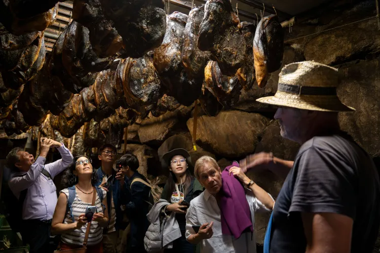 People looking up and make photos of hunks of meat drying and hanging from the ceiling.