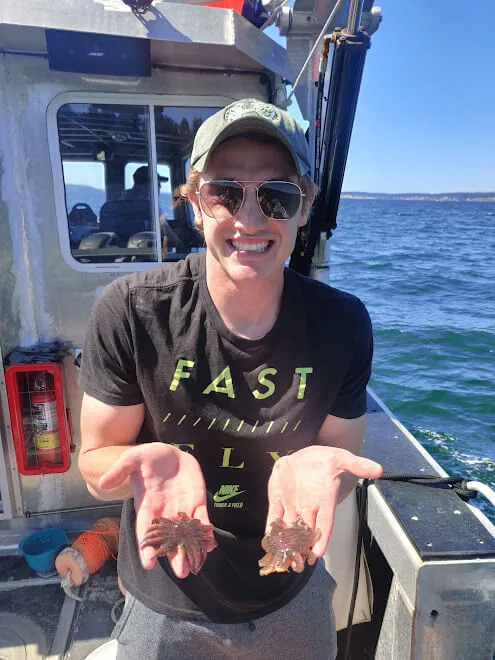 a PhD students holds two small specimens of sunflower sea stars while on a research vessel in Canada