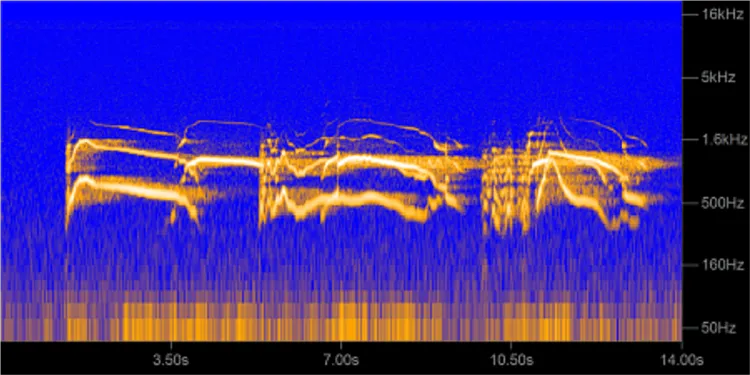 Spectrogram image, blue background with bright orange waves of sound