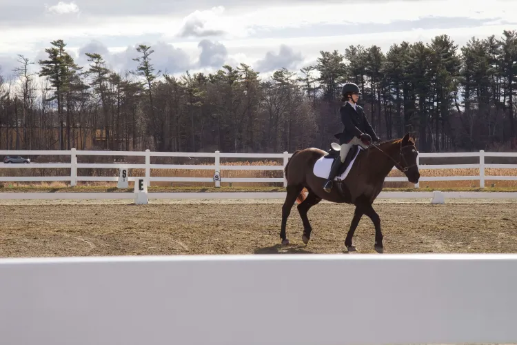 A person rides a horse inside a ring lined by white fencing
