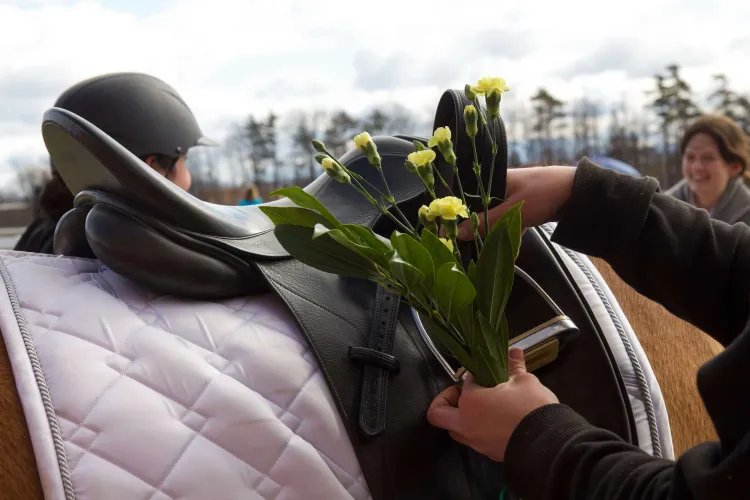 A hand holds a bunch of yellow flowers next to a saddle