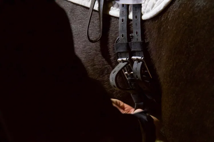 A hand on some leather straps on a horse's belly