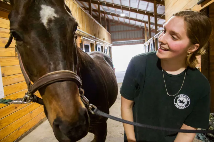 A close-up photo of a person and a horse looking at one another