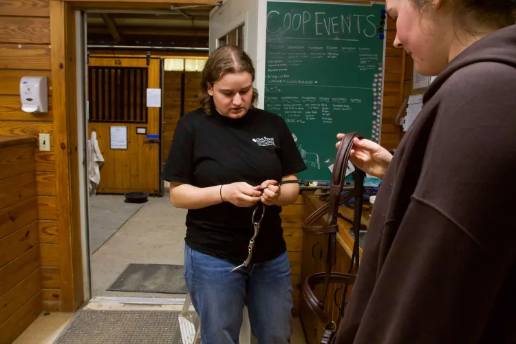 One person holds a leather bridle while another person cleans it