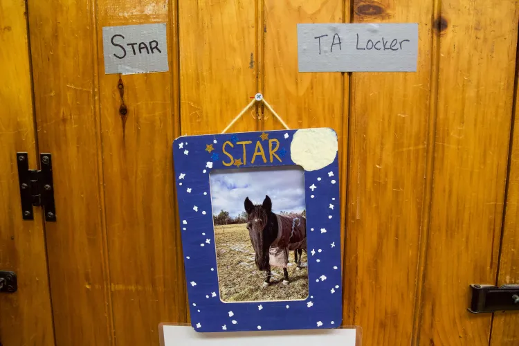 A paneled wooden background with a portrait of Star the horse