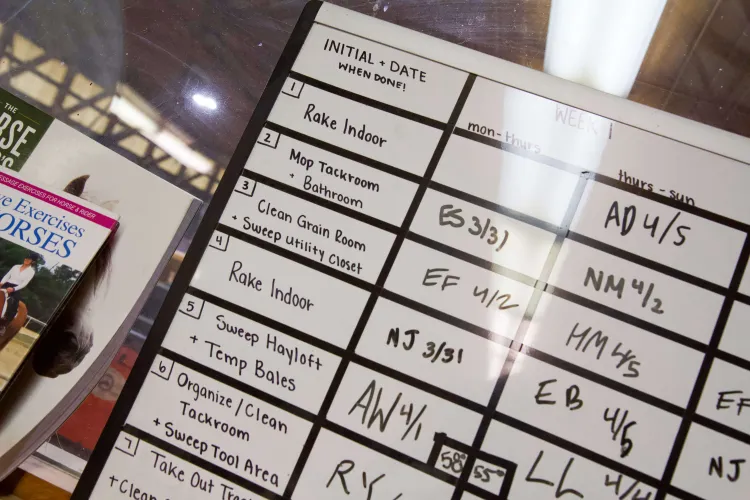 A chart on a white board with horse chores and names and dates listed