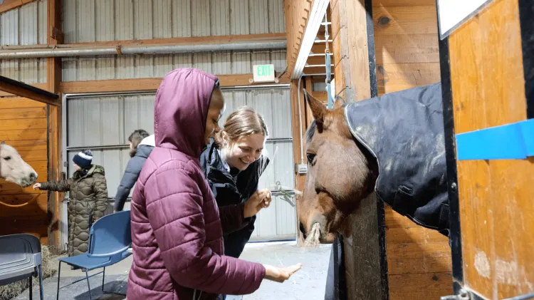 A mentor and a fourth-grader laugh as they feed a horse hay