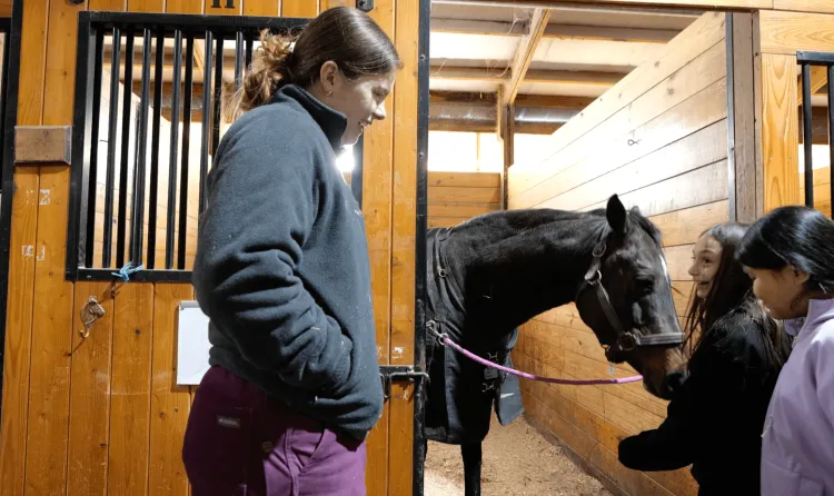 undergraduate student mentors two students in the horse barn