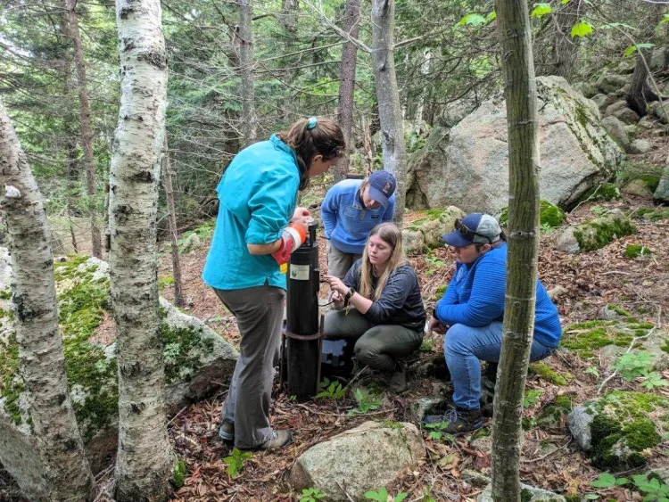 Four people setting up equipment in a forested area for a wildlife study