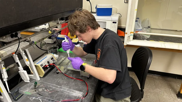 Young man in black t-shirt working in biology lab