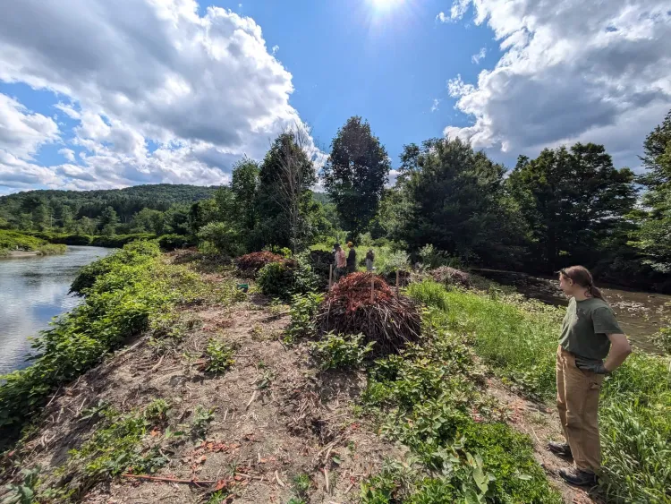 A person stands on a river bank next to a pile of dead plants. The sky overhead is blue and slightly cloudy, and the sun is shining. 