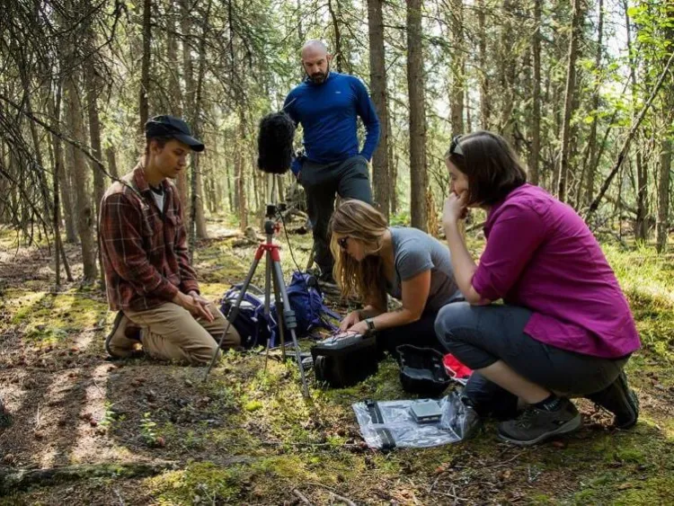 Peter Newman with three other researchers in a forest, they are setting up audio equipment