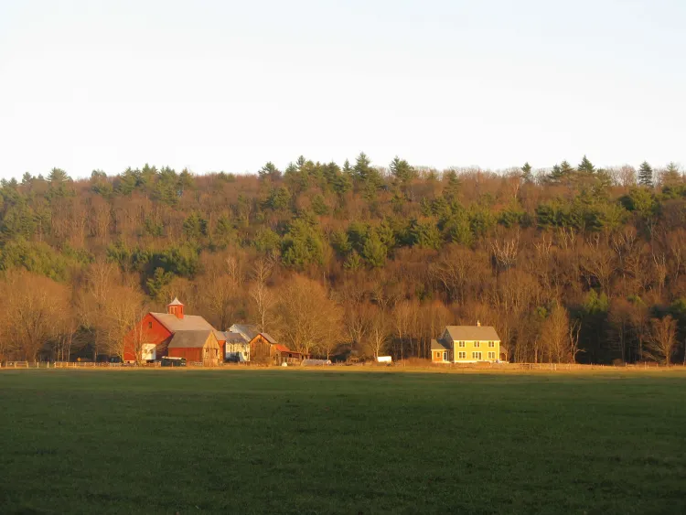 barns and house on a farm lanscape with hill of trees in background