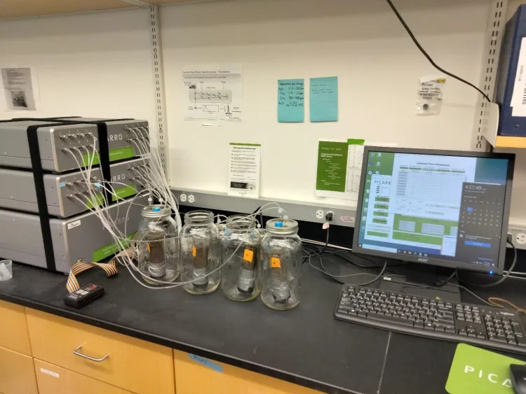 A computer in a lab with glass jars hooked up to a machine. 