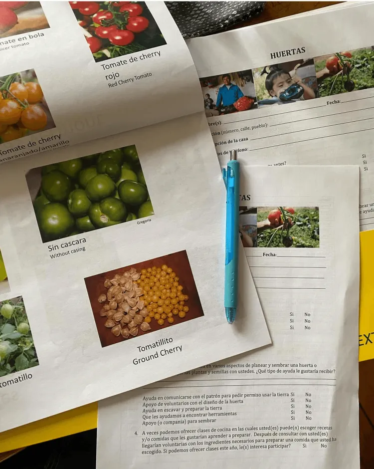 A pen lying on papers with photos of food plants. 