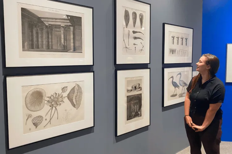 A young woman looks at a gallery wall displaying six large illustrations.