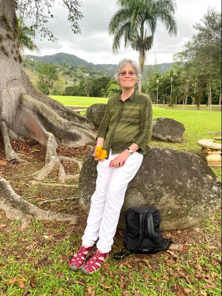 Person sits underneath a large tree with palm tree in background