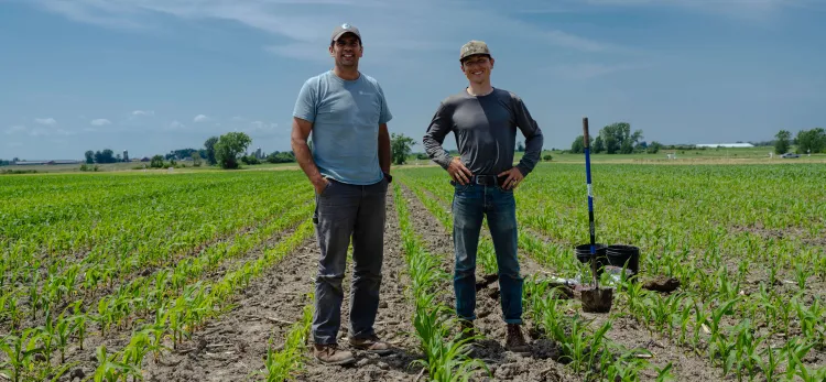 scientists in a field