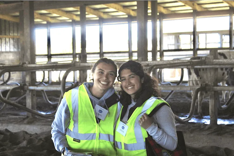 Two women in a cattle barn
