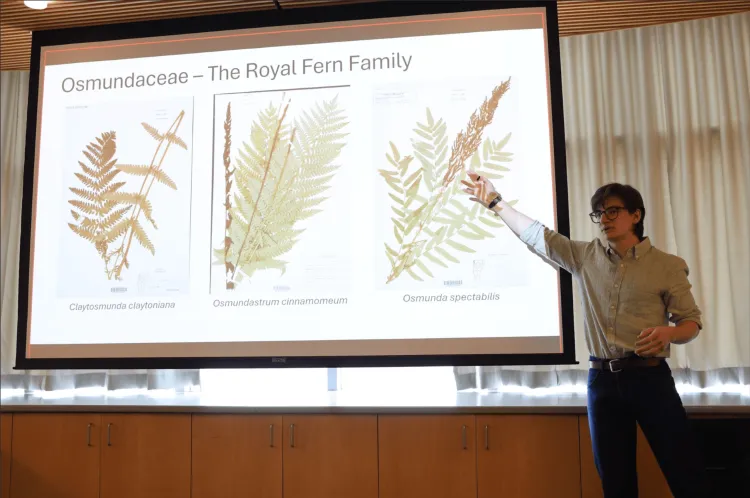 A student giving a presentation on ferns