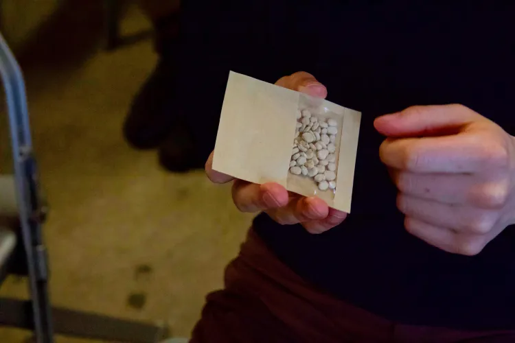 Hands holding a tan packet of small round white seeds.