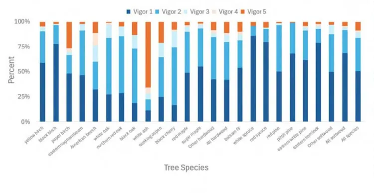 A graph showing New England tree health trends over time