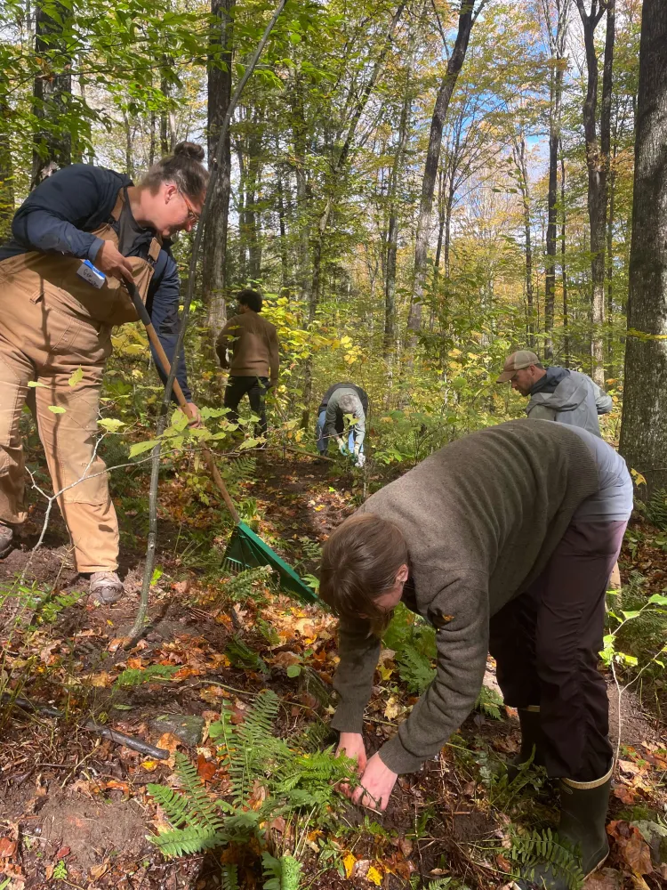 People are raking, bending over and working in autumnal woods.