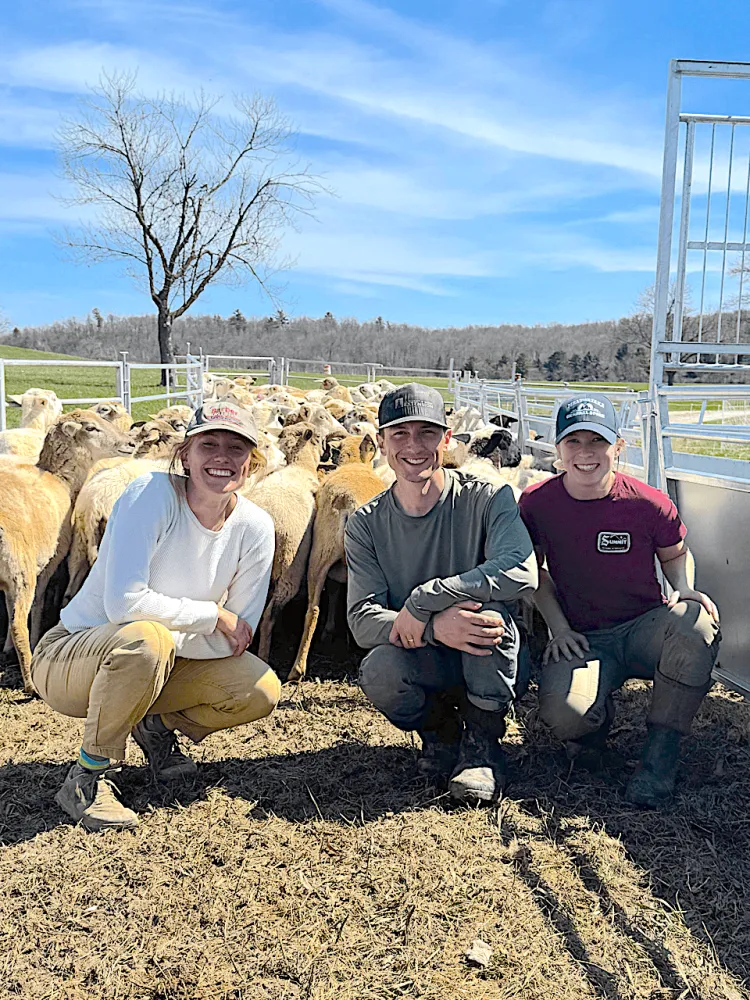 Three students in a pen with a flock of sheep