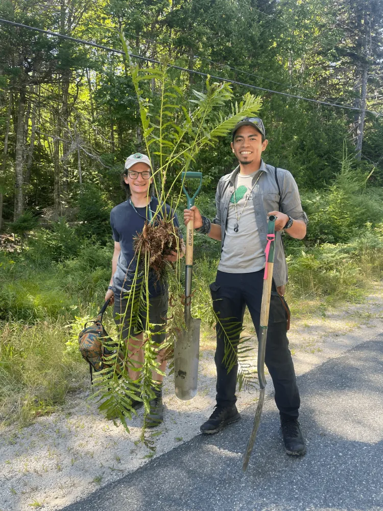 Students collecting plant specimens