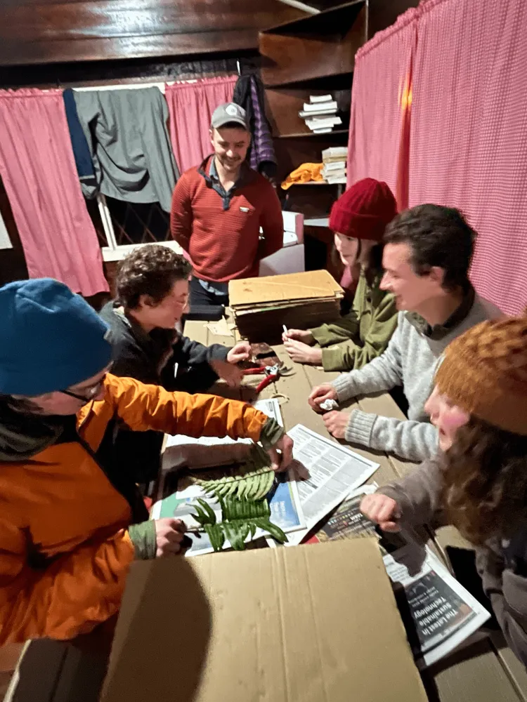 Group of students doing plant work
