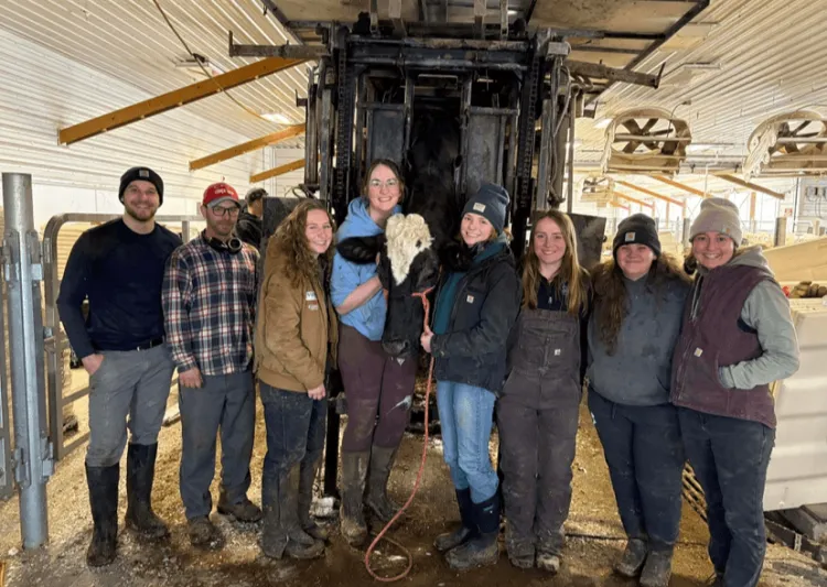 A group of students in a dairy barn