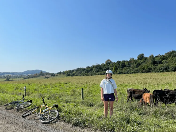 Woman standing in a field next to cows