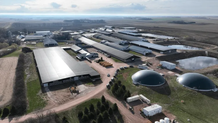 A large industrial farm
