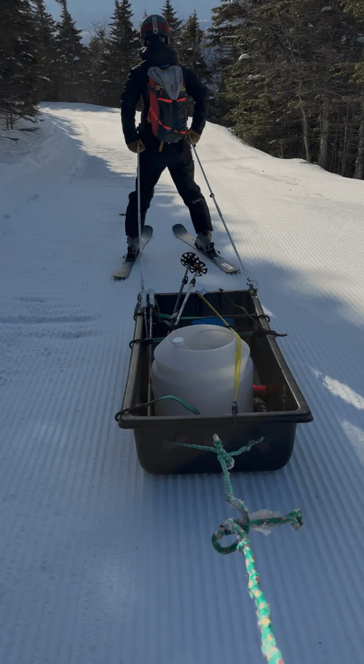 Maeve pulling the sled