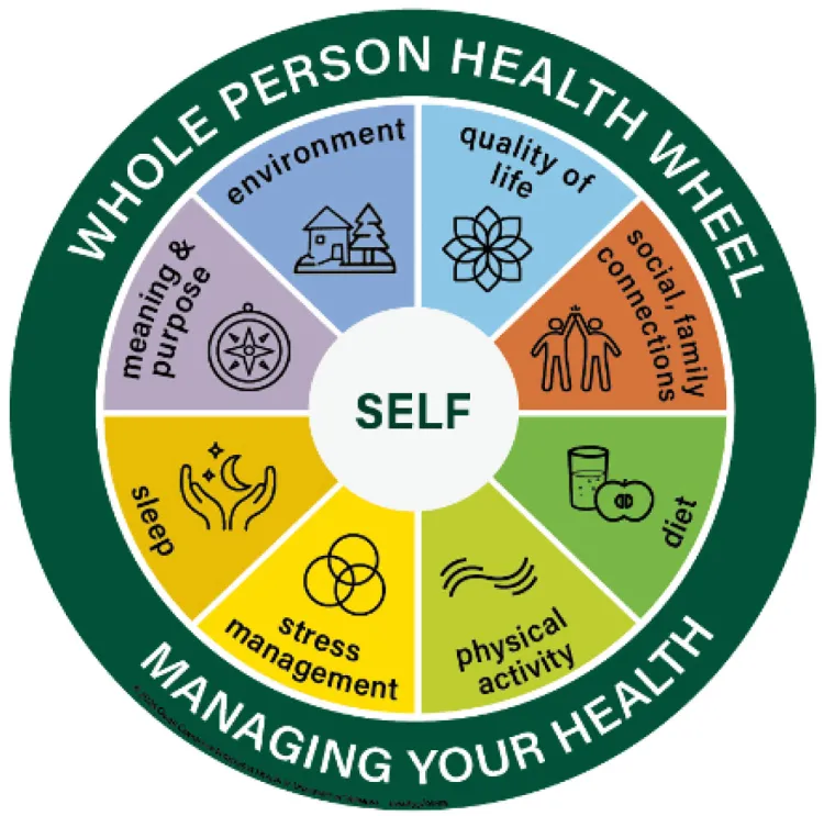Whole Person Wheel of Health