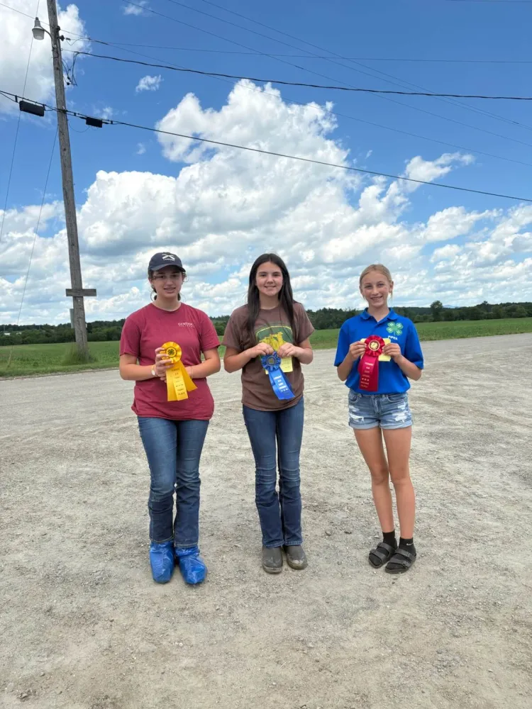 Three kids stand in a row and hold up their ribbons while standing on a dirt driveway with a farm field and sunny blue sky in the background.
