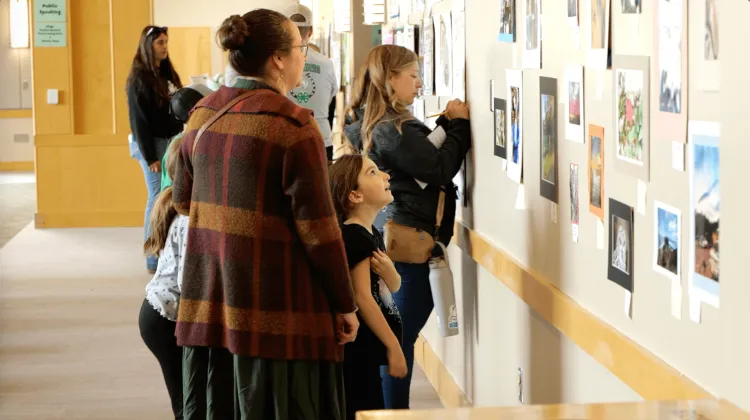 People look at a wall full of posted images and text. 